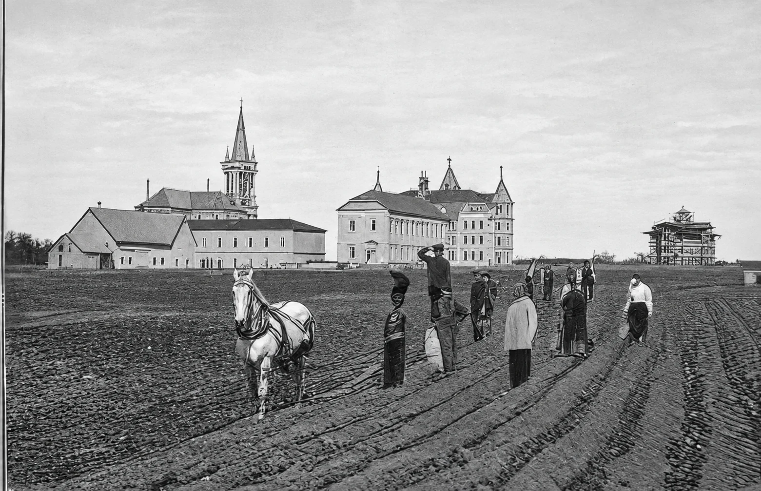 Collegio - Esterno - campo di patate